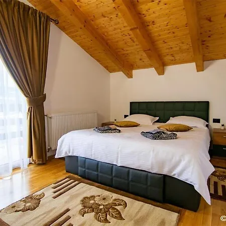 Pensiunea Hantig Tura Holiday home Borsa (Maramures)