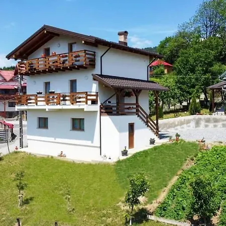 Pensiunea Hantig Tura Holiday home Borsa (Maramures)